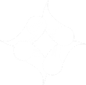 icon polimata