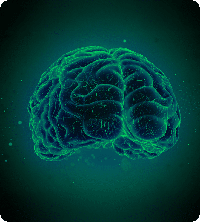 Imagem Cerebro ColmeIA
